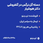 تصویر نمایشی دسته گل نرگس در گلفروشی دکتر هوشیار