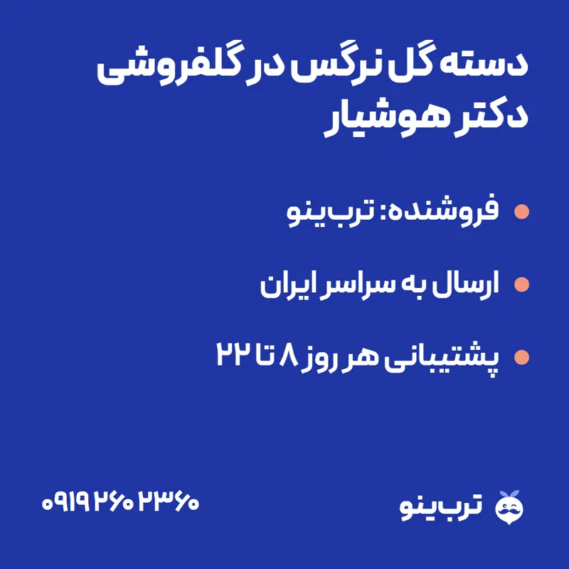 تصویر نمایشی دسته گل نرگس در گلفروشی دکتر هوشیار