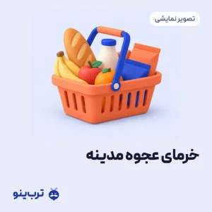 تصویر نمایشی خرمای عجوه مدینه