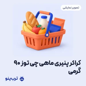 تصویر نمایشی کراکر پنیری ماهی چی توز 90 گرمی